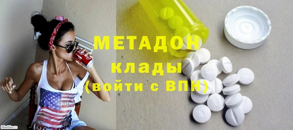 индика Горняк