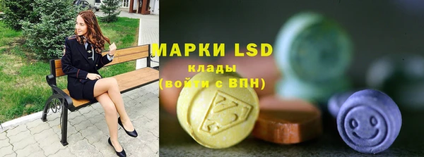 индика Горняк