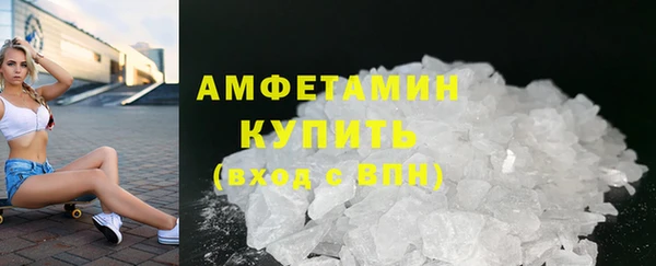 индика Горняк