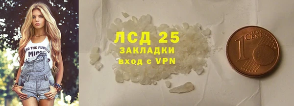 индика Горняк