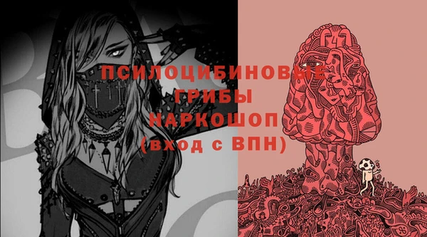 индика Горняк