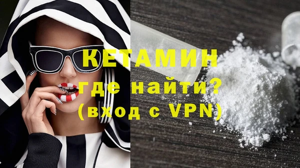 индика Горняк