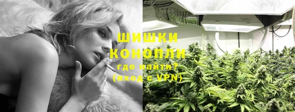 индика Горняк