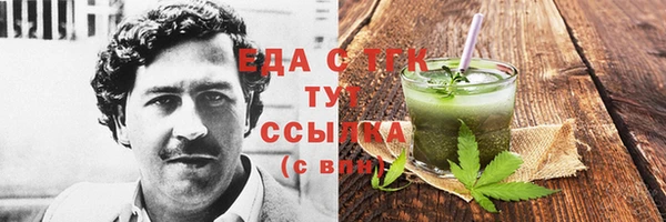 индика Горняк
