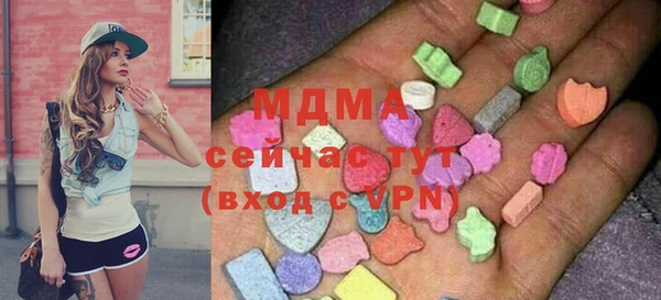 индика Горняк
