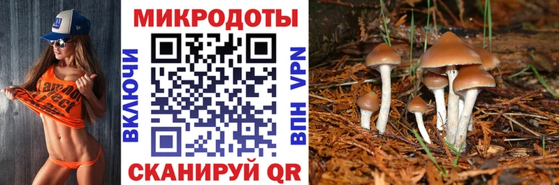 Купить  Удачный  Псилоцибиновые грибы Psilocybe 